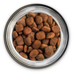 Belcando Super Premium Adult Active Trockenfutter 4 Kg 8 Belcando Super Premium Adult Active Trockenfutter 4 Kg -Angebote Futter Reich Store 2020 05 belcando bowl adult active 1000x1000 pdp 1