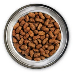 Belcando Super Premium Adult Lamb And Rice Trockenfutter 4 Kg -Angebote Futter Reich Store 2020 05 belcando bowl adult lamb 1000x1000 pdp 1