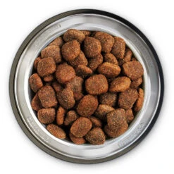 Belcando Super Premium Adult Power Trockenfutter 2 X 12,5 Kg 7 Belcando Super Premium Adult Power Trockenfutter 2 X 12,5 Kg -Angebote Futter Reich Store 2020 05 belcando bowl adult power 1000x1000 pdp 2