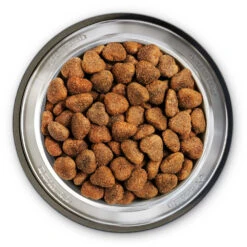 Belcando Super Premium Junior Lamb And Rice Trockenfutter 4 Kg -Angebote Futter Reich Store 2020 05 belcando bowl junior lamb 1000x1000 pdp 1