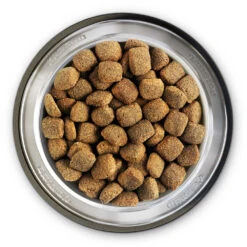 Belcando Super Premium Junior Maxi Trockenfutter 4 Kg 7 Belcando Super Premium Junior Maxi Trockenfutter 4 Kg -Angebote Futter Reich Store 2020 05 belcando bowl junior maxi 1000x1000 pdp 1