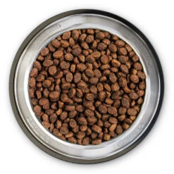 Belcando Super Premium Puppy Gravy Trockenfutter 12,5 Kg -Angebote Futter Reich Store 2020 05 belcando bowl puppy gravy 1000x1000 pdp 2