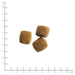 Belcando Trockenfutter 4 Kg -Angebote Futter Reich Store 2020 05 belcando croquettes adult dinner 1000x1000 pdp 1