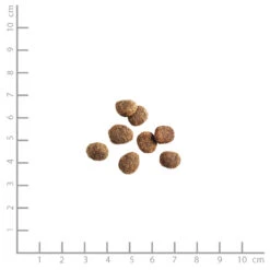 Belcando Super Premium Adult Light Trockenfutter 12,5 Kg -Angebote Futter Reich Store 2020 05 belcando croquettes adult light 1000x1000 pdp 2