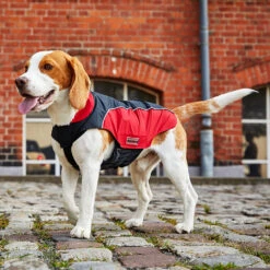 Wolters Regenjacke Easy Rain Für Mops & Co Schwarz/rot Bekleidung Rückenlänge 44 Cm -Angebote Futter Reich Store 2020 07 wolters easy rainjacket2 1000x1000 pdp 2