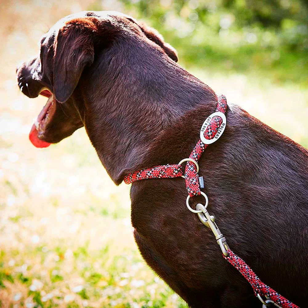 Wolters Everest Reflektierend Rot/schwarz Halsband & Geschirr 35 Cm X 9 Mm 4 Wolters Everest Reflektierend Rot/schwarz Halsband & Geschirr 35 Cm X 9 Mm – Bild 2
