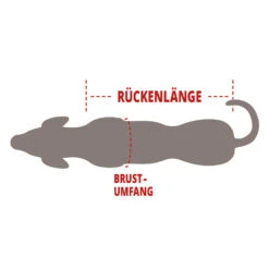 Wolters Outdoorjacke Xtra Strong Riverside Blue Bekleidung Rückenlänge 36 Cm -Angebote Futter Reich Store 2020 07 wolters infographic dogtopview backchest 1000x1000 1 90