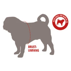 Wolters Strickpullover Zopf Für Mops & Co. Schwarz Bekleidung Rückenlänge 45 Cm -Angebote Futter Reich Store 2020 07 wolters infographic pug 1000x1000 3 2