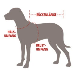 Wolters Professional Comfort Sky Blue/marine Halsband & Geschirr 8 / 60 - 65 Cm X 35 Mm -Angebote Futter Reich Store 2020 07 wolters infographic standingdog neckbackchest 1000x1000 53