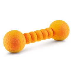 Angebote Futter Reich Store 41 Wolters Aqua-Fun Gym Mango Spielzeug 23 Cm