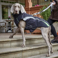 Wolters Outdoorjacke Xtra Strong Riverside Blue Bekleidung Rückenlänge 40 Cm -Angebote Futter Reich Store 2021 05 wolters equipment outdoorjackextrastrong 1000x1000 6