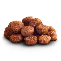 The Goodstuff Adult Dogs Pferd Trockenfutter 12,5 Kg -Angebote Futter Reich Store 2022 03 thegoodstuff d croquettes 1000x1000 pdp