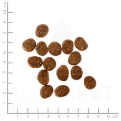 Orijen Original Dog Trockenfutter 11,4 Kg -Angebote Futter Reich Store 31orjenadultdogmithuhn 4 1