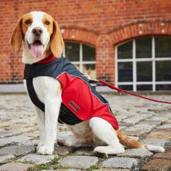 Wolters Regenjacke Easy Rain Schwarz/rot Bekleidung Rückenlänge 28 Cm -Angebote Futter Reich Store 3 2020 07 wolters easy rainjacket 1000x1000 pdp 8