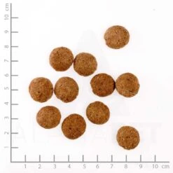 Happy Dog Supreme Sensible Toscana Trockenfutter 12,5 Kg 7 Happy Dog Supreme Sensible Toscana Trockenfutter 12,5 Kg -Angebote Futter Reich Store 65happydogsupremesensivletoscanaenteundlachs 1