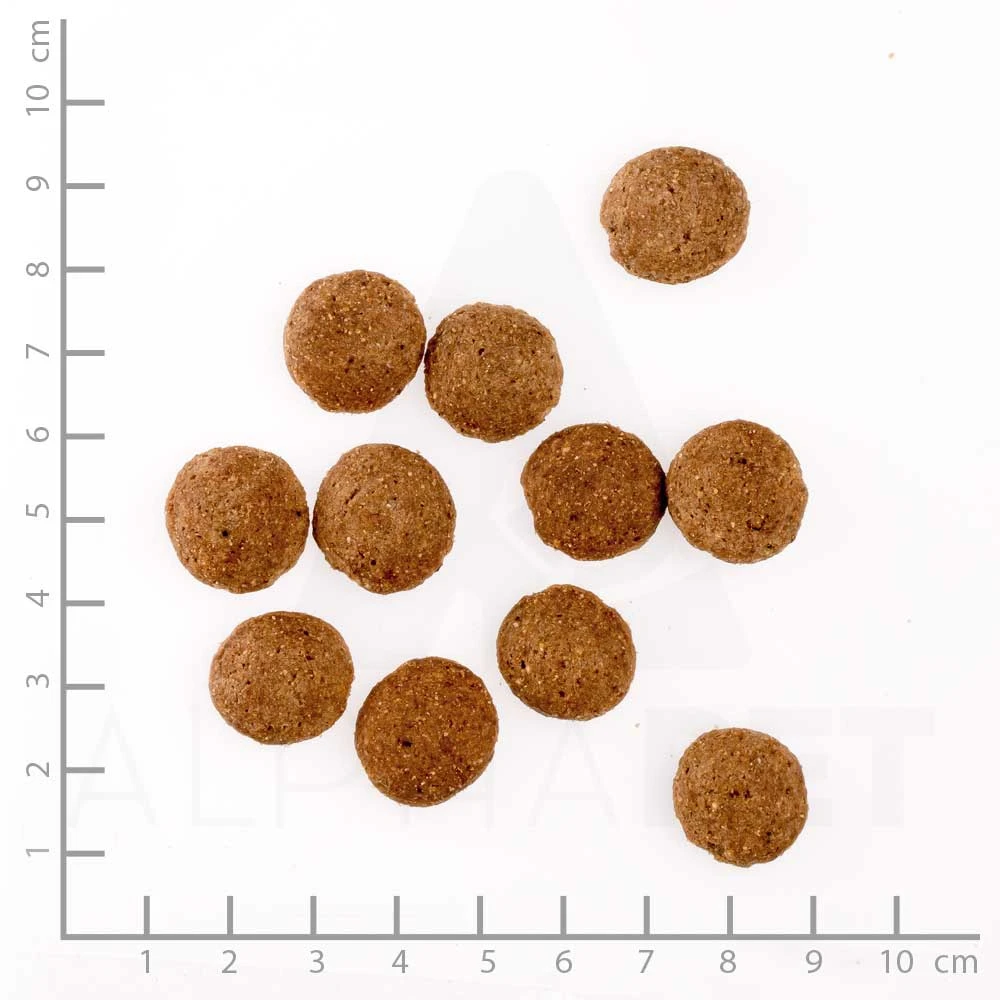 Happy Dog Supreme Sensible Toscana Trockenfutter 4 Kg 5 Happy Dog Supreme Sensible Toscana Trockenfutter 4 Kg – Bild 3