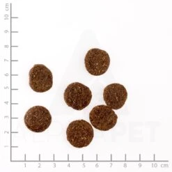 Happy Dog Supreme Sensible Irland Trockenfutter 4 Kg 7 Happy Dog Supreme Sensible Irland Trockenfutter 4 Kg -Angebote Futter Reich Store 66happydogsupremesensibleirlandmitlachsundkaninchen