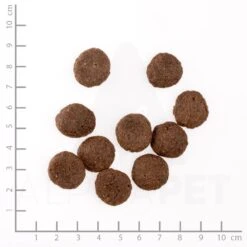 Happy Dog Supreme Sensible Africa Trockenfutter 12,5 Kg 8 Happy Dog Supreme Sensible Africa Trockenfutter 12,5 Kg -Angebote Futter Reich Store 67happydogsupremesensibleafricastraussundkartoffel