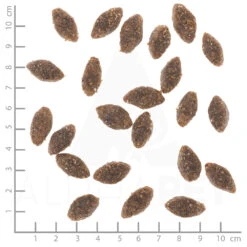 Wolfsblut Adult Alaska Salmon - Lachs Und Kartoffeln Trockenfutter 2 Kg 9 Wolfsblut Adult Alaska Salmon - Lachs Und Kartoffeln Trockenfutter 2 Kg -Angebote Futter Reich Store dsc2917 lineal 2