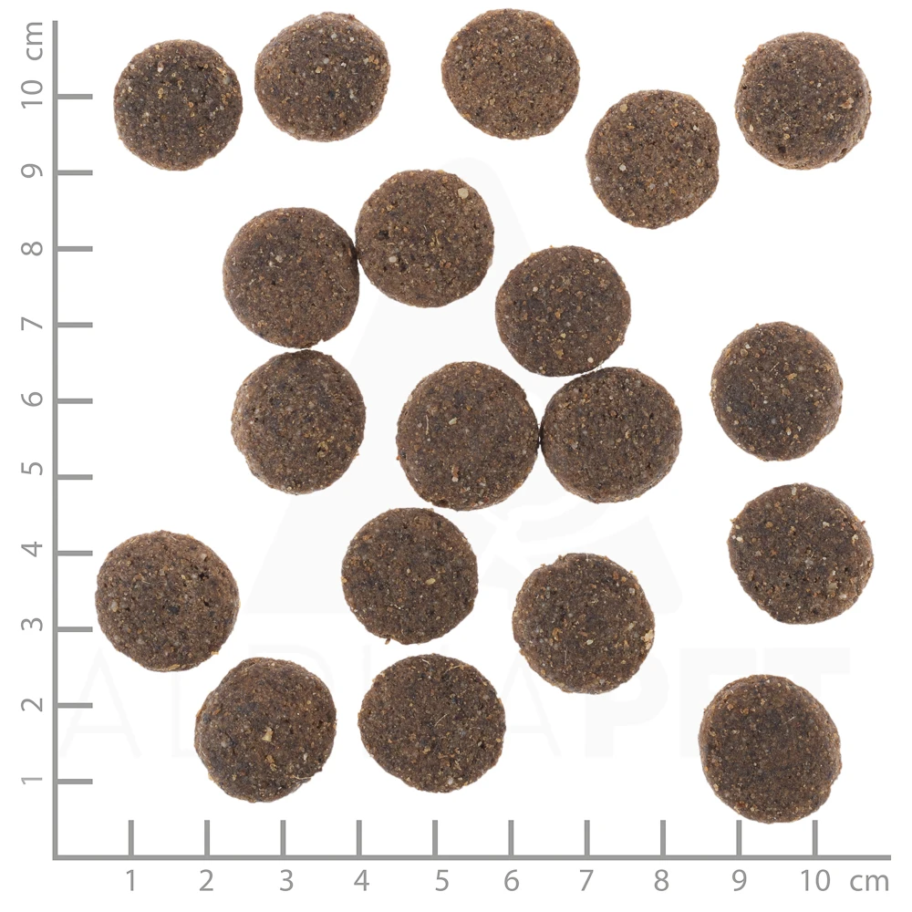 Wolfsblut Senior Range Lamb Trockenfutter 2 X 12,5 Kg 4 Wolfsblut Senior Range Lamb Trockenfutter 2 X 12,5 Kg – Bild 2