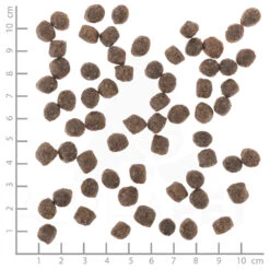 Wolfsblut Small Breed Range Lamb Trockenfutter 7,5 Kg 7 Wolfsblut Small Breed Range Lamb Trockenfutter 7,5 Kg -Angebote Futter Reich Store dsc2934 lineal 4