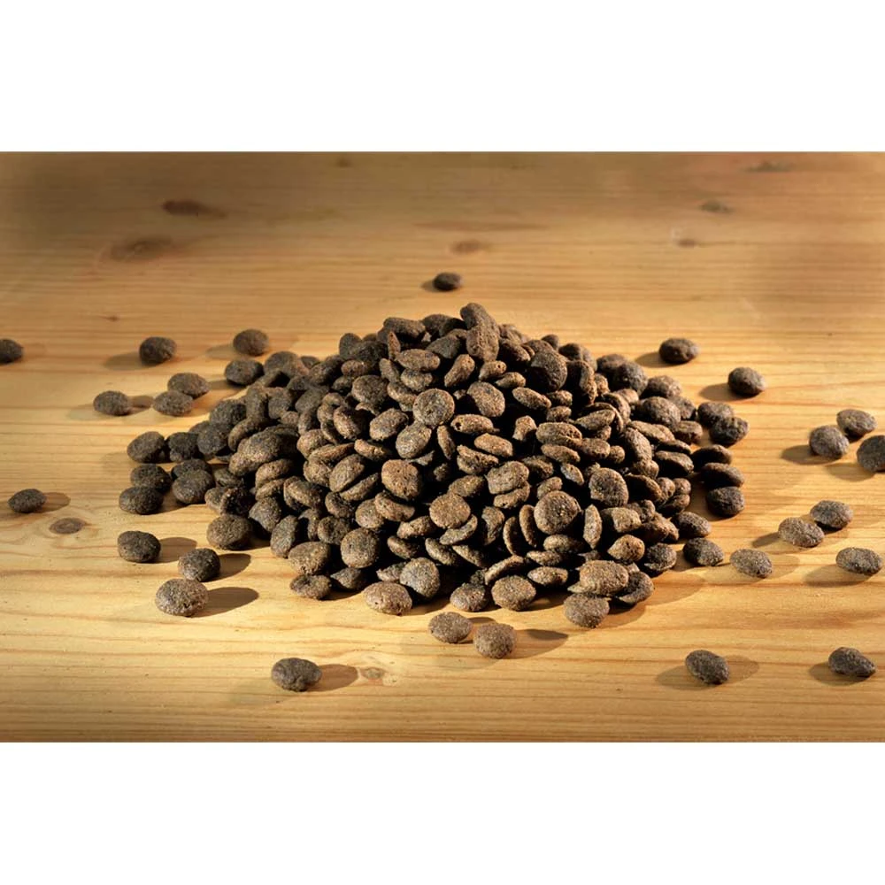 Happy Dog Supreme Mini Africa Trockenfutter 4 Kg 4 Happy Dog Supreme Mini Africa Trockenfutter 4 Kg – Bild 2