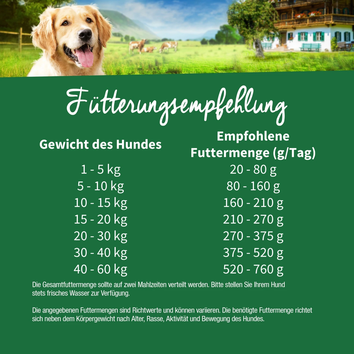 Müller’s Naturhof Traditionell Weiderind Trockenfutter 5 Kg 7 Müller’s Naturhof Traditionell Weiderind Trockenfutter 5 Kg – Bild 5