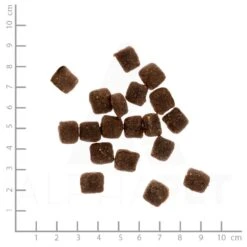 Pets Premium Ente Mit Kartoffeln, Erbsen Und Brennnessel Trockenfutter 1,5 Kg -Angebote Futter Reich Store pets premium trockenfutter soft ente