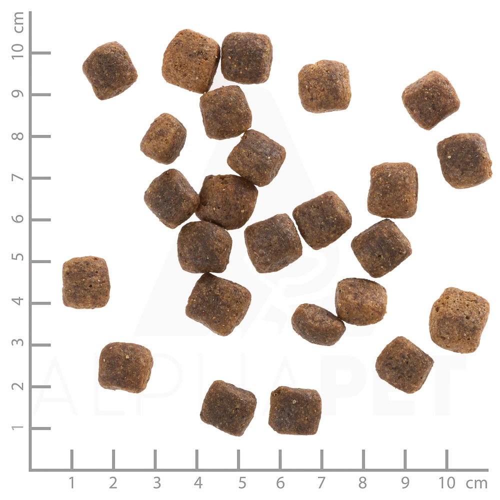 Wolfsblut Senior Wide Plain - Pferdefleisch Und Süßkartoffel Trockenfutter 2 Kg 6 Wolfsblut Senior Wide Plain - Pferdefleisch Und Süßkartoffel Trockenfutter 2 Kg – Bild 4