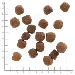 Wolfsblut Wild Duck - Ente Und Kartoffel Trockenfutter 3 X 2 Kg -Angebote Futter Reich Store wb761040 wolfsblut wild duck adult 4260262761040 dsc0458 lineal 6