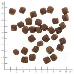 Wolfsblut Wild Duck - Ente Und Kartoffel Trockenfutter 2 Kg -Angebote Futter Reich Store wb761170 wolfsblut wild duck small breed 4260262761170 dsc0475 lineal 1