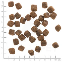 Wolfsblut Adult Black Bird - Truthahn Und Süßkartoffel Trockenfutter 2 X 12,5 Kg -Angebote Futter Reich Store wb761255 wolfsblut black bird adult 4260262761255 dsc0486 lineal 7