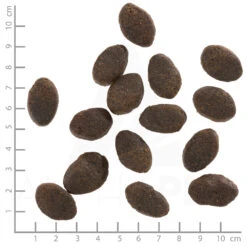 Wolfsblut Adult Wild Pacific - Seefisch Und Kartoffel Trockenfutter 2 X 12,5 Kg -Angebote Futter Reich Store wb761545 wolfsblut wild pacific adult 4260262761545 dsc0592 lineal 3