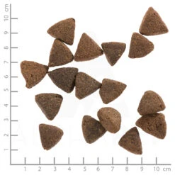 Wolfsblut Black Bird - Truthahn Und Süßkartoffel Trockenfutter 3 X 2 Kg -Angebote Futter Reich Store wb761828 wolfsblut black bird puppy large breed 4260262761828 dsc0493 lineal 3