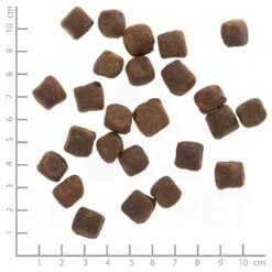 Wolfsblut Dark Forest - Wild Und Süßkartoffel Trockenfutter 3 X 2 Kg 9 Wolfsblut Dark Forest - Wild Und Süßkartoffel Trockenfutter 3 X 2 Kg -Angebote Futter Reich Store wb762023 wolfsblut dark forest adult 4260262762023 dsc0524 lineal 5