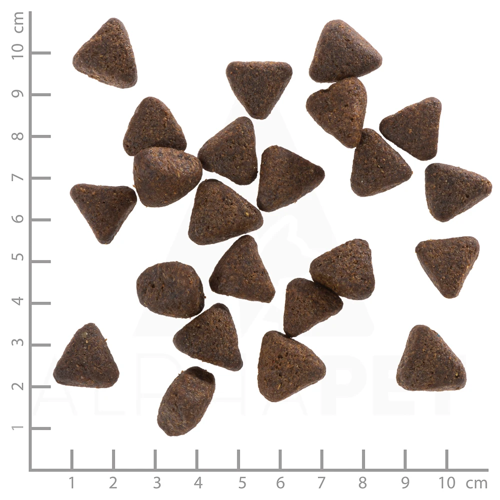 Wolfsblut Atlantic Tuna - Thunfisch Und Meeressalat Trockenfutter 2 Kg 6 Wolfsblut Atlantic Tuna - Thunfisch Und Meeressalat Trockenfutter 2 Kg – Bild 4