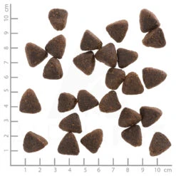 Wolfsblut Adult Jack Rabbit - Kaninchen Und Gemüse Trockenfutter 2 Kg 9 Wolfsblut Adult Jack Rabbit - Kaninchen Und Gemüse Trockenfutter 2 Kg -Angebote Futter Reich Store wb762320 wolfsblut jack rabbit adult 4260262762320 dsc0567 lineal 1