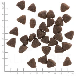 Wolfsblut Adult Wild Boar - Wildschwein Und Kartoffel Trockenfutter 2 Kg -Angebote Futter Reich Store wb762436 wolfsblut wild boar adult 4260262762436 dsc0585 lineal 1