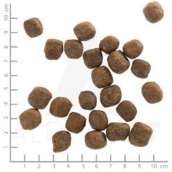 Wolfsblut Adult Cold River - Forelle Und Süßkartoffel Trockenfutter 12,5 Kg 9 Wolfsblut Adult Cold River - Forelle Und Süßkartoffel Trockenfutter 12,5 Kg -Angebote Futter Reich Store wb762528 wolfsblut cold river adult 4260262762528 dsc0514 lineal 5