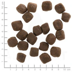 Wolfsblut Adult Green Valley - Lamm Und Lachs Trockenfutter 2 Kg -Angebote Futter Reich Store wb763594 wolfsblut green valley adult 4260262763594 dsc0544 lineal 1