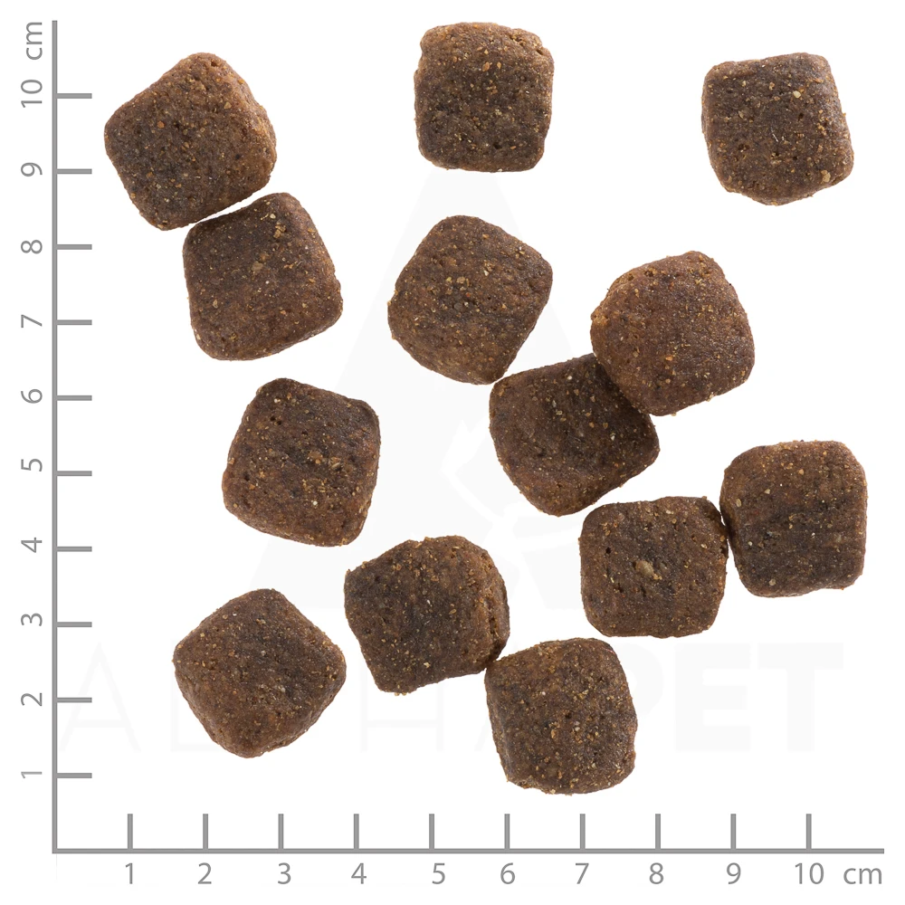 Wolfsblut Large Breed Wild Duck - Ente Und Kartoffel Trockenfutter 4 X 2 Kg 5 Wolfsblut Large Breed Wild Duck - Ente Und Kartoffel Trockenfutter 4 X 2 Kg – Bild 3