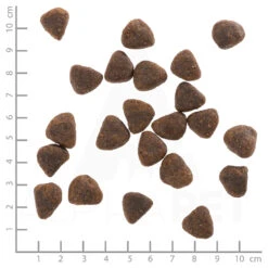 Wolfsblut Wide Plain - Pferdefleisch Und Süßkartoffel Trockenfutter 7,5 Kg -Angebote Futter Reich Store wb764201 wolfsblut wide plain adult 4260262764201 dsc0443 lineal 2