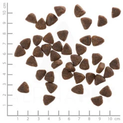 Wolfsblut Wide Plain - Pferdefleisch Und Süßkartoffel Trockenfutter 3 X 2 Kg -Angebote Futter Reich Store wb764515 wolfsblut wide plain small breed 4260262764515 dsc0453 lineal 3