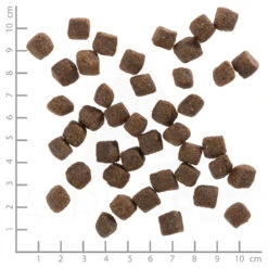 Wolfsblut Small Breed Black Bird - Truthahn Und Süßkartoffel Trockenfutter 7,5 Kg 7 Wolfsblut Small Breed Black Bird - Truthahn Und Süßkartoffel Trockenfutter 7,5 Kg -Angebote Futter Reich Store wb765147 wolfsblut black bird small breed 4260262765147 dsc0503 lineal 5