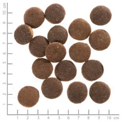 Wolfsblut Adult Red Rock - Kängurufleisch Und Süßkartoffeln Trockenfutter 2 X 12,5 Kg 7 Wolfsblut Adult Red Rock - Kängurufleisch Und Süßkartoffeln Trockenfutter 2 X 12,5 Kg -Angebote Futter Reich Store wb765550 wolfsblut red rock adult 4260262765550 dsc0579 lineal 6