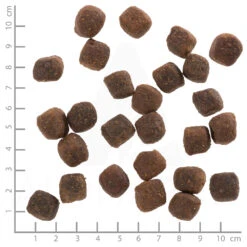 Wolfsblut Adult Deep Glade - Rothirsch Und Wasserbüffel Trockenfutter 12,5 Kg -Angebote Futter Reich Store wb765789 wolfsblut deep glade adult 4260262765789 dsc0529 lineal 5