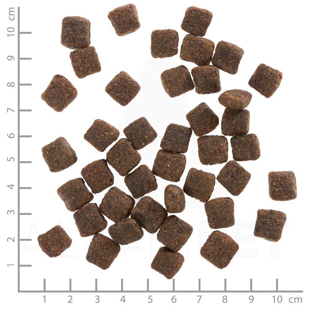 Wolfsblut Senior Grey Peak - Ziegenfleisch Und Süßkartoffel Trockenfutter 2 Kg 4 Wolfsblut Senior Grey Peak - Ziegenfleisch Und Süßkartoffel Trockenfutter 2 Kg – Bild 2