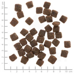 Wolfsblut Senior Grey Peak - Ziegenfleisch Und Süßkartoffel Trockenfutter 12,5 Kg -Angebote Futter Reich Store wb765970 wolfsblut grey peak senior 4260262765970 dsc0559 lineal 5