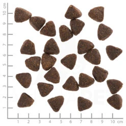 Wolfsblut Trockenfutter 4 X 2 Kg 7 Wolfsblut Trockenfutter 4 X 2 Kg -Angebote Futter Reich Store wb766151 wolfsblut foodies choice adult 4260262766151 dsc0540 lineal 4