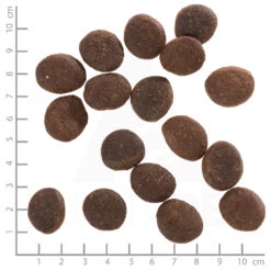 Wolfsblut Adult Polar Night - Rentierfleisch Und Kürbis Trockenfutter 2 X 12,5 Kg 7 Wolfsblut Adult Polar Night - Rentierfleisch Und Kürbis Trockenfutter 2 X 12,5 Kg -Angebote Futter Reich Store wb766267 wolfsblut polar night adult 4260262766267 dsc0571 lineal 6